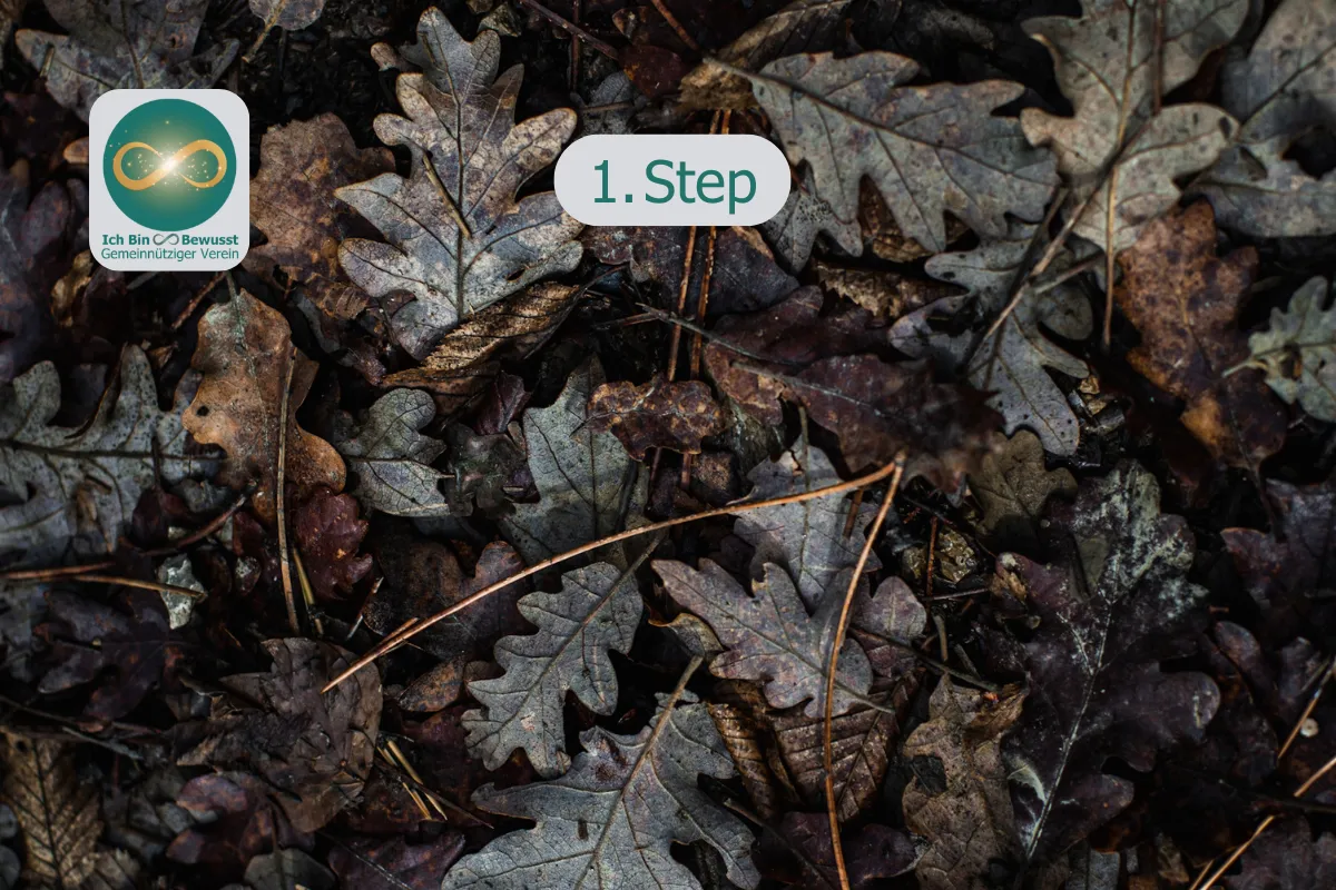 Boden bedeckt mit trockenem, herbstlichem Eichenlaub. Bildaufschrift: 1. Step.